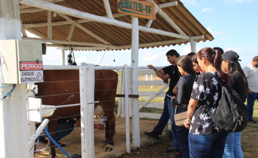 Foto: Divulgação/Emater-DF
