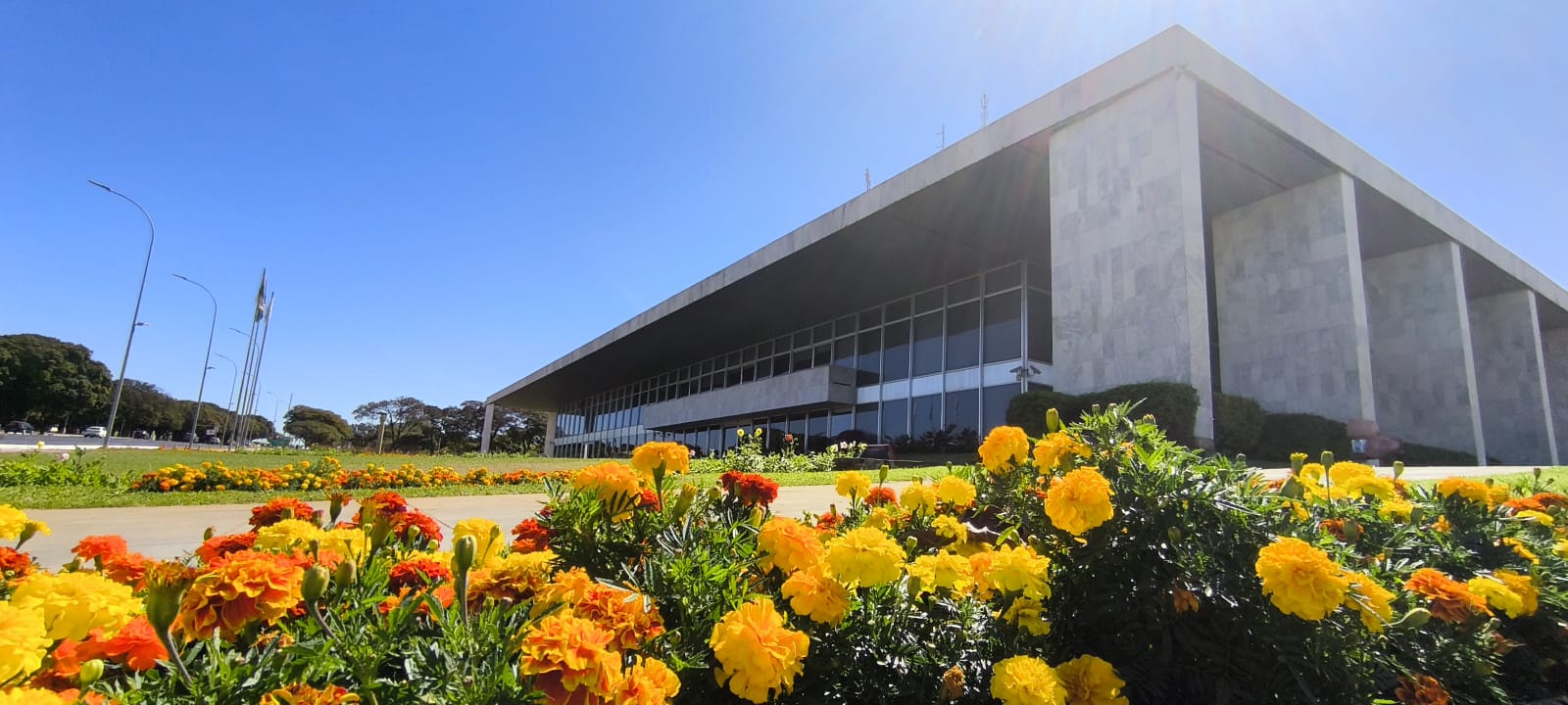 Foto: Divulgação/Agência Brasília