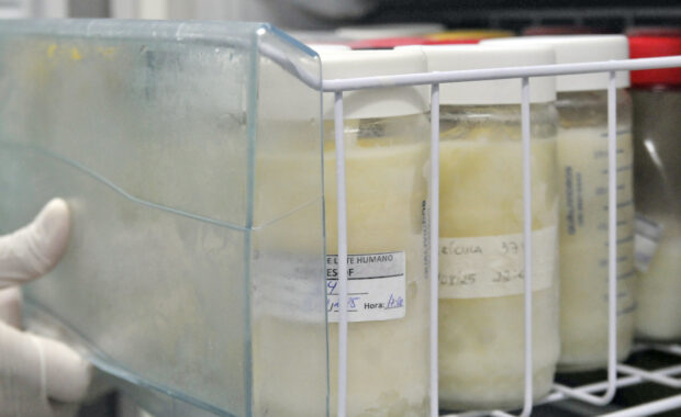 Frascos com leite humano armazenados em equipamento refrigerado