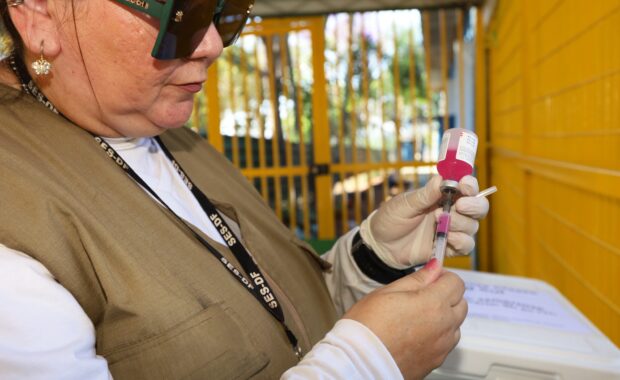 Profissional de saúde prepara dose de vacina antirrábica para aplicação em animal