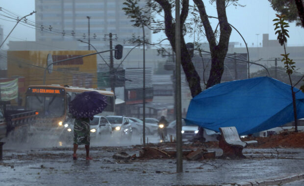 Pedestre com guarda-chuva caminha ao lado de veículos durante chuva intensa no Distrito Federal
