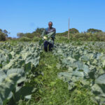 Produtor rural em plantação no Distrito Federal
